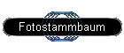 Fotostammbaum